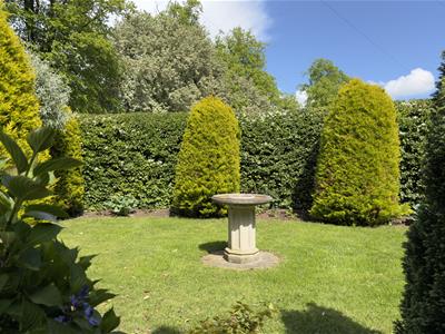 Picture 30